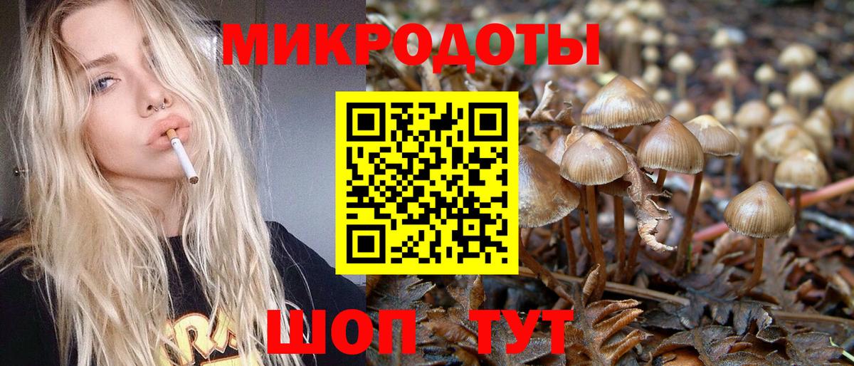 Галлюциногенные грибы Psilocybine cubensis  Вход с VPN  Раменское 